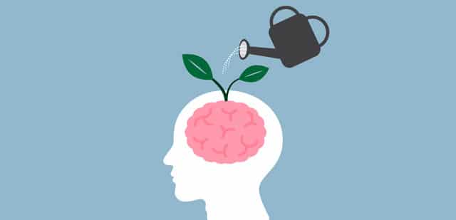 Nourishing the Brain