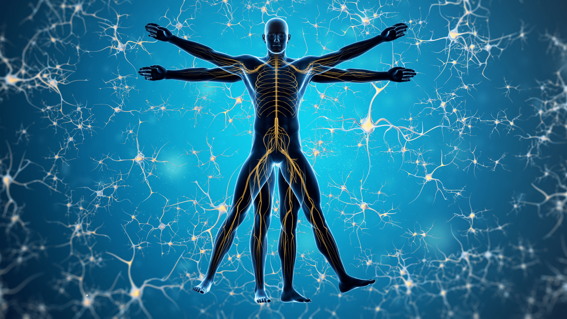 Total Nervous System Reset